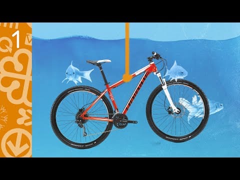 Fishing For A Bike